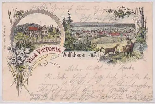 900726 AK Wolfshagen - Villa Victoria, Gesamtansicht, J.Jäger & Sohn Goslar 1898