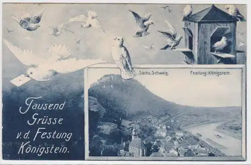 900226 Ak Tausend Grüsse von der Festung Königstein sächs. Schweiz