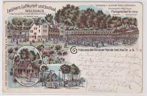 79928 Ak Lithographie Gruß aus der Dölauer Heide bei Halle an der Saale 1898