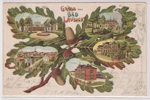 17327 Eichenblatt  Ak Lithographie Gruß aus Bad Lausick 1903