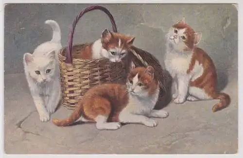 76464 Ak 4 Katzenkinder spielen mit Körbchen 1912