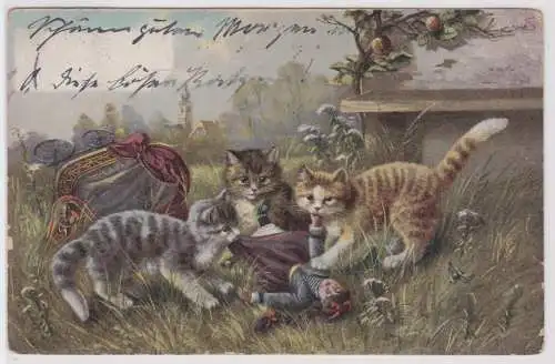 67618 Ak 3 Kätzchen mit Puppenwagen und Puppe 1906