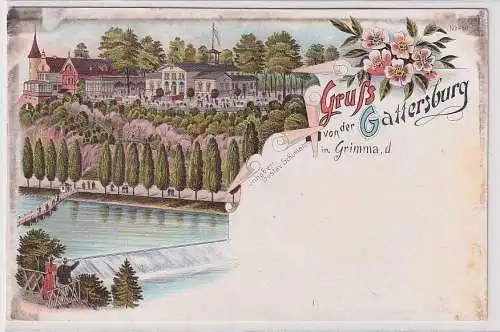 900804 Ak Lithographie Gruß von der Gattersburg in Grimma 1897