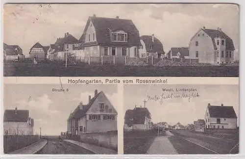 07929 Mehrbild Ak Hopfengarten, Partie vom Rosenwinkel, Straße 6, westl.Lindenpl