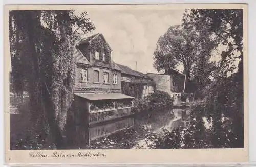 902983 Ak Cottbus Partie am Stadtgraben um 1930