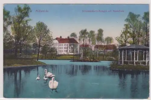 09779 Ak Mittweida - Schwanenteich-Anlagen mit Realschule 1915