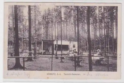 903428 Ak Gössnitz S.-A. Tannicht Restaurant 