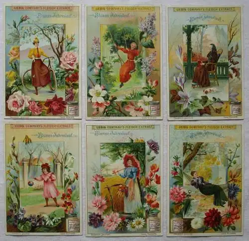 Liebigbilder Serie 484 "Blumen-Jahreslauf" komplett 1901 (6/133858)