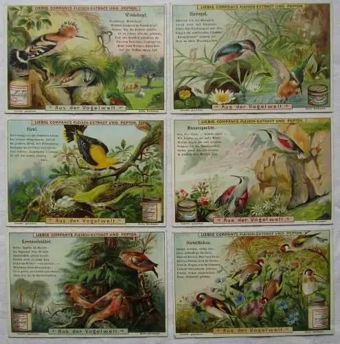 Liebigbilder Serie 481, Aus der Vogelwelt II, komplett 1901 (4/134938)