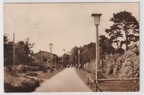 24744 AK Zempin - Strandpromenade mit Waldpartie 1959