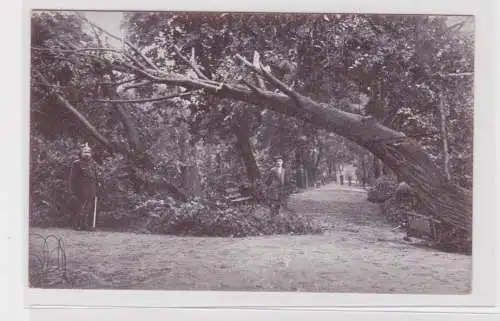 905988 Ak Sturm-Katastrophe zu Chemnitz am 27.05.1916, Am Schloßteich