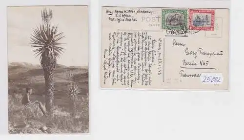 25002 Foto Ak Süd West Afrika Köcherbaum 1933