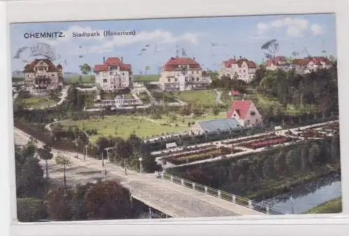 905291 Ak Chemnitz - Stadtpark, Rosarium, Totalansicht 1916