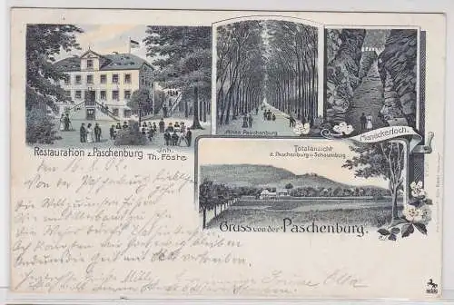 42454 AK Gruss von der Paschenburg - Meneckerloch, Allee, Restauration 1902