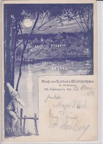 907820 Zwergen Ak Gruß aus Tabbert´s Waldschlößchen Ober-Schöneweide 1899