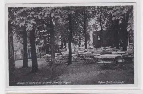 906658 Ak Neckendorf bei Eisleben Waldschloß von Friedrich Rippin um 1940
