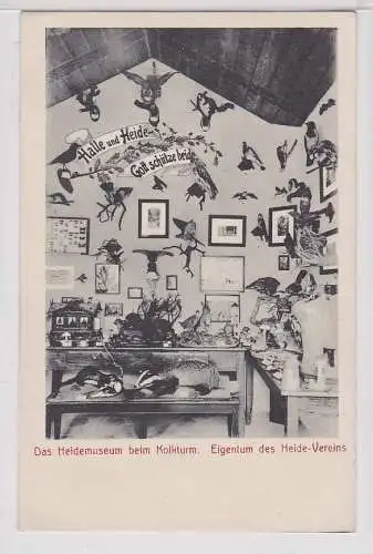 26143 Ak Halle Saale Heide-Verein Heidemuseum beim Kolkturm um 1910