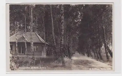 64357 Foto Ak Rangsdorf - Birkenallee 1932