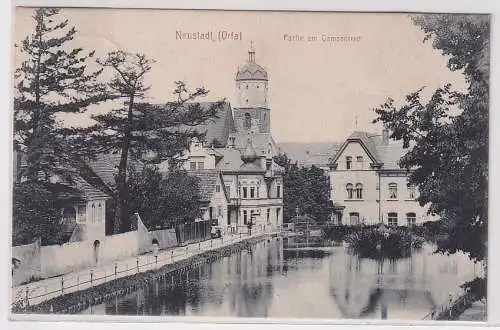 46442 AK Neustadt (Orla) Partie am Gamsenteich 1919