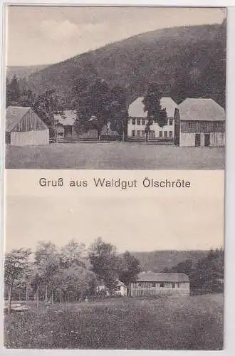 19765 Mehrbild Ak Gruß aus Waldgut Ölschröte bei Großbreitenbach um 1930