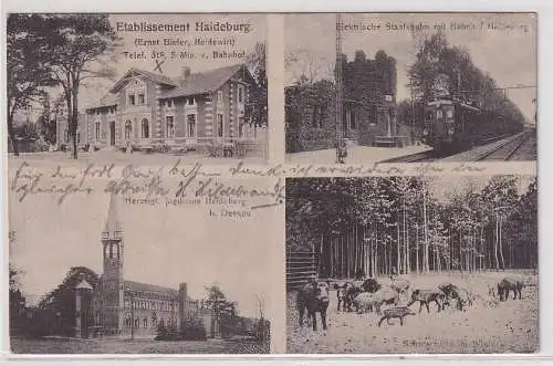 54150 Mehrbild Ak Etablissement Haideburg bei Dessau 1920
