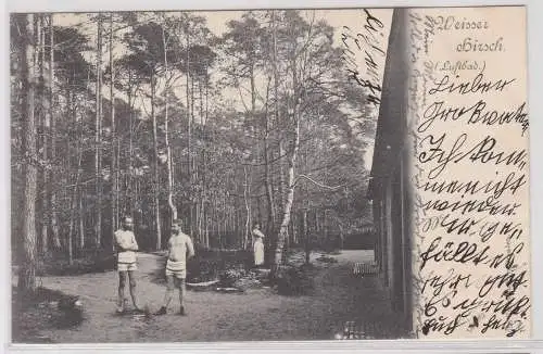 20030 AK Weisser Hirsch (Luftbad) - Waldpartie mit Sanitäranlagen 1901