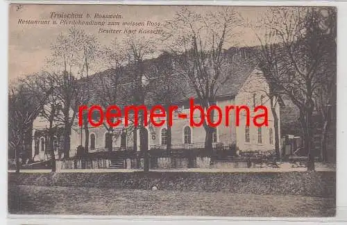 74136 Ak Troischau bei Rosswein Restaurant und Pferdehandlung 1920