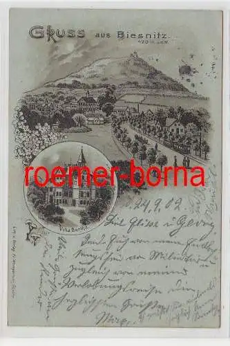 75338 Mondscheinkarte Gruss aus Biesnitz Villa Bertha 1902