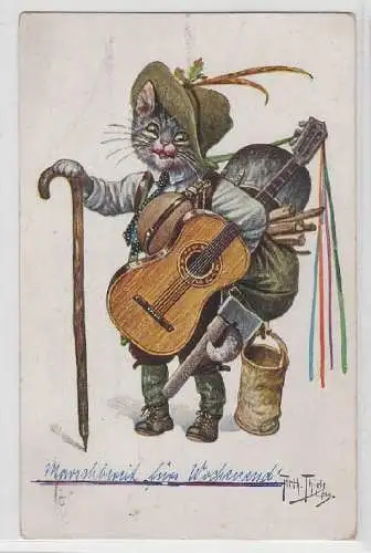 42261 Arthur Thiele Künstler Ak Katze als Wanderbursche Geselle
