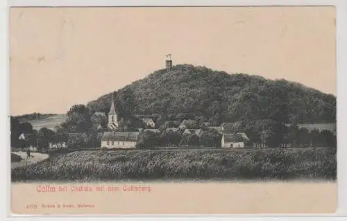 80474 Ak Collm bei Oschatz mit dem Collmberg 1916