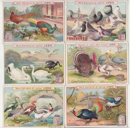 Liebigbilder italienische Serie komplett "Vero Estratto die Carne"