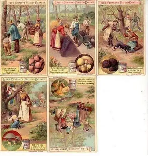 Liebig Serie 5 Sammelbilder "Pilze" 10