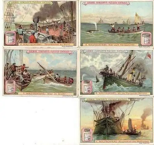 Liebig Serie 5 Sammelbilder "Walfischfang" 3