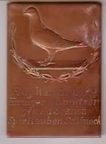 Bronze Medaille Sektion Sporttauben Schöneck 1968