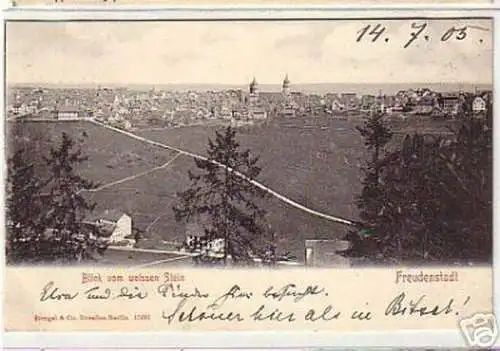 10351 Ak Freudenstadt Blick vom weissen Stein 1905