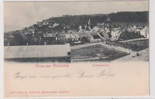 69767 Ak Gruss aus Oldisleben Totalansicht 1902