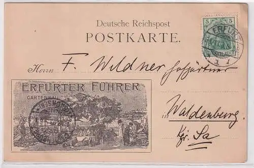 24502 Postkarte Werbung Erfurter Führer im Gartenbau 1903