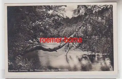 72586 Ak Luftkurort Tiefensee der Blumentak am schönen Gamensee 1937