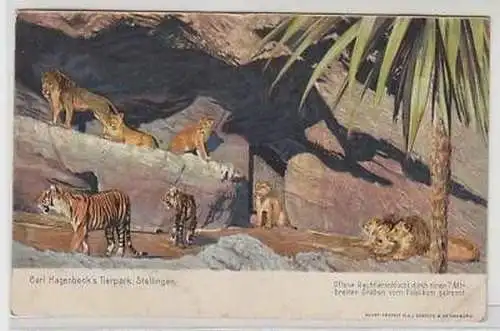45849 Ak Carl Hagenbecks Tierpark Stellingen 1907