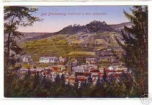 10623 Ak Bad Blankenburg Thür. Totalansicht 1921