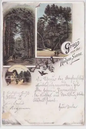 95284 Lithographie Ak Gruss von der Hohen Sonne Gasthof, Annathal usw. 1897