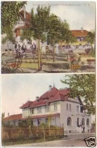 19975 Ak Gruß vom Kurhotel Forsthaus Lucka S.A. 1910