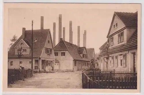 31965 Ak 12. Kolonie Zschornewitz - Langer Weg um 1920