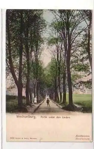 38547 Ak Wechselburg Partie unter den Linden um 1900
