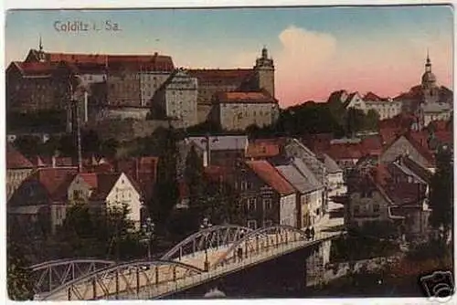 04690 Ak Colditz in Sachsen Totalansicht um 1920