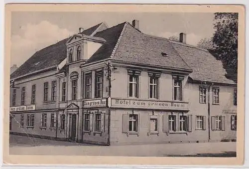 85635 Ak Wörlitz Hotel zum grünen Baum 1953