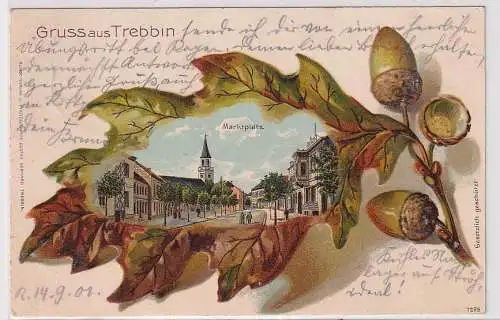 93658 Eichenblatt Ak Lithographie Gruß aus Trebbin Marktplatz 1901