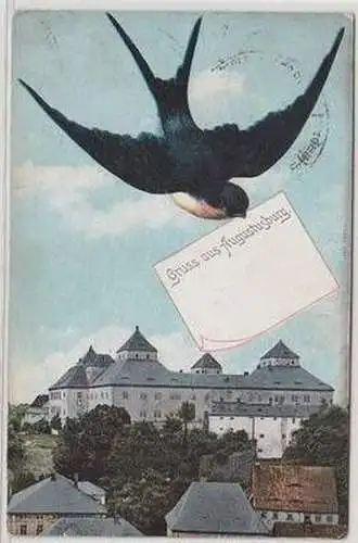 52686 Schwalben Ak Gruss aus Augustusburg um 1910