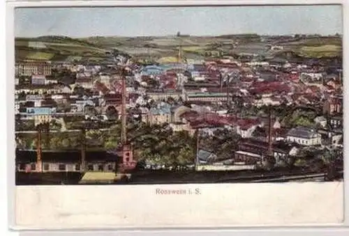 46293 Präge Ak Rosswein Totalansicht 1907
