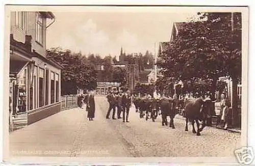 04150 Ak Hahnenklee Oberharz Hauptstrasse 1931
